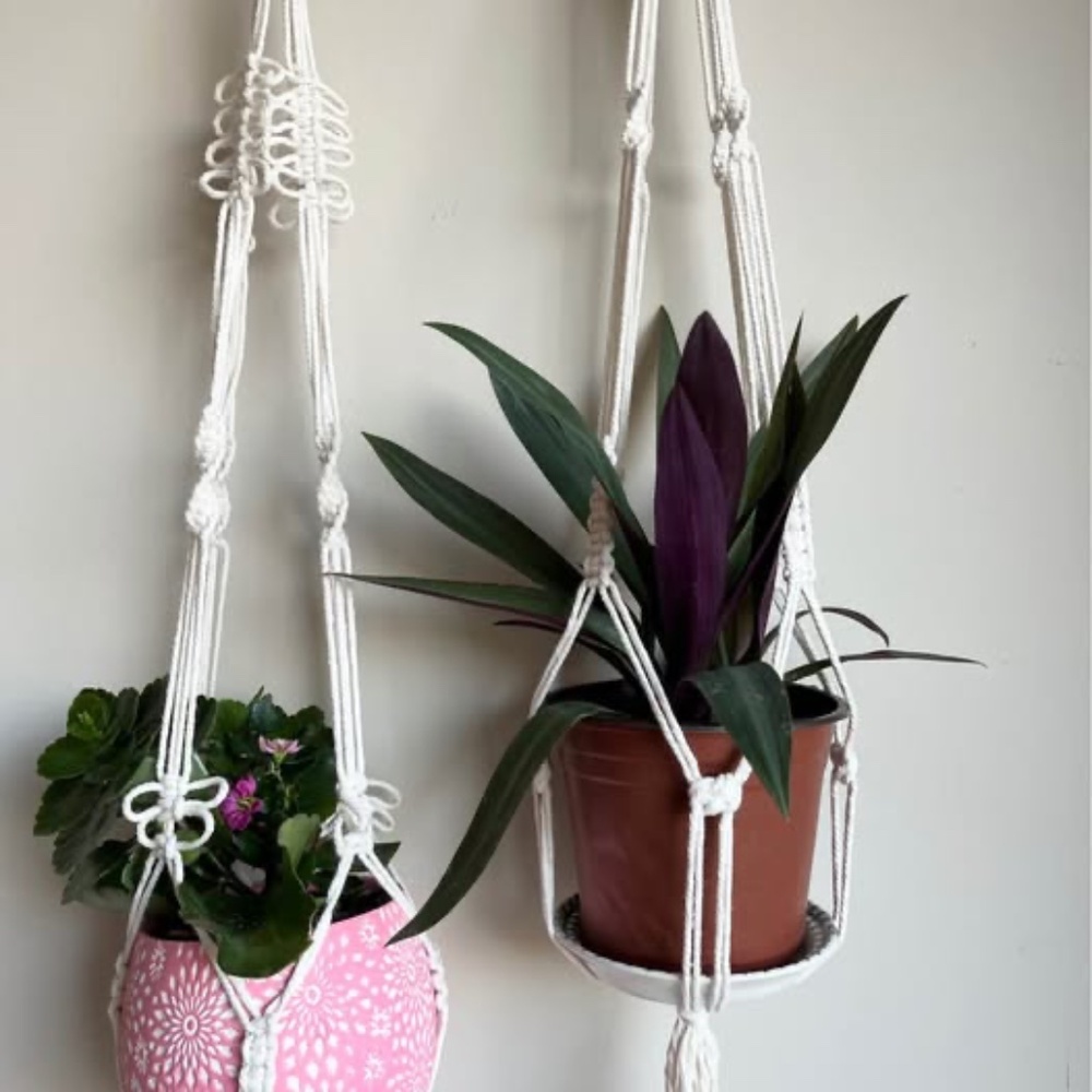Adorable Macrame Plant Hangers